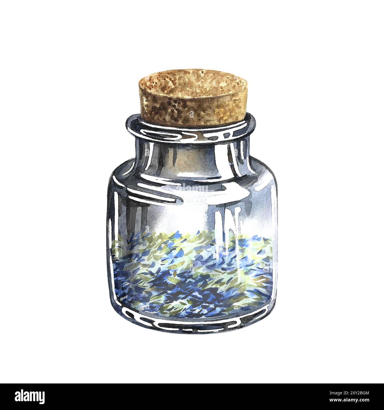 Bouteille en verre vintage avec herbes séchées. L'illustration est aquarelle, dessinée à la main. Thé sain, épices ou herbes médicinales. Pour emballage, étiquette, menu Banque D'Images