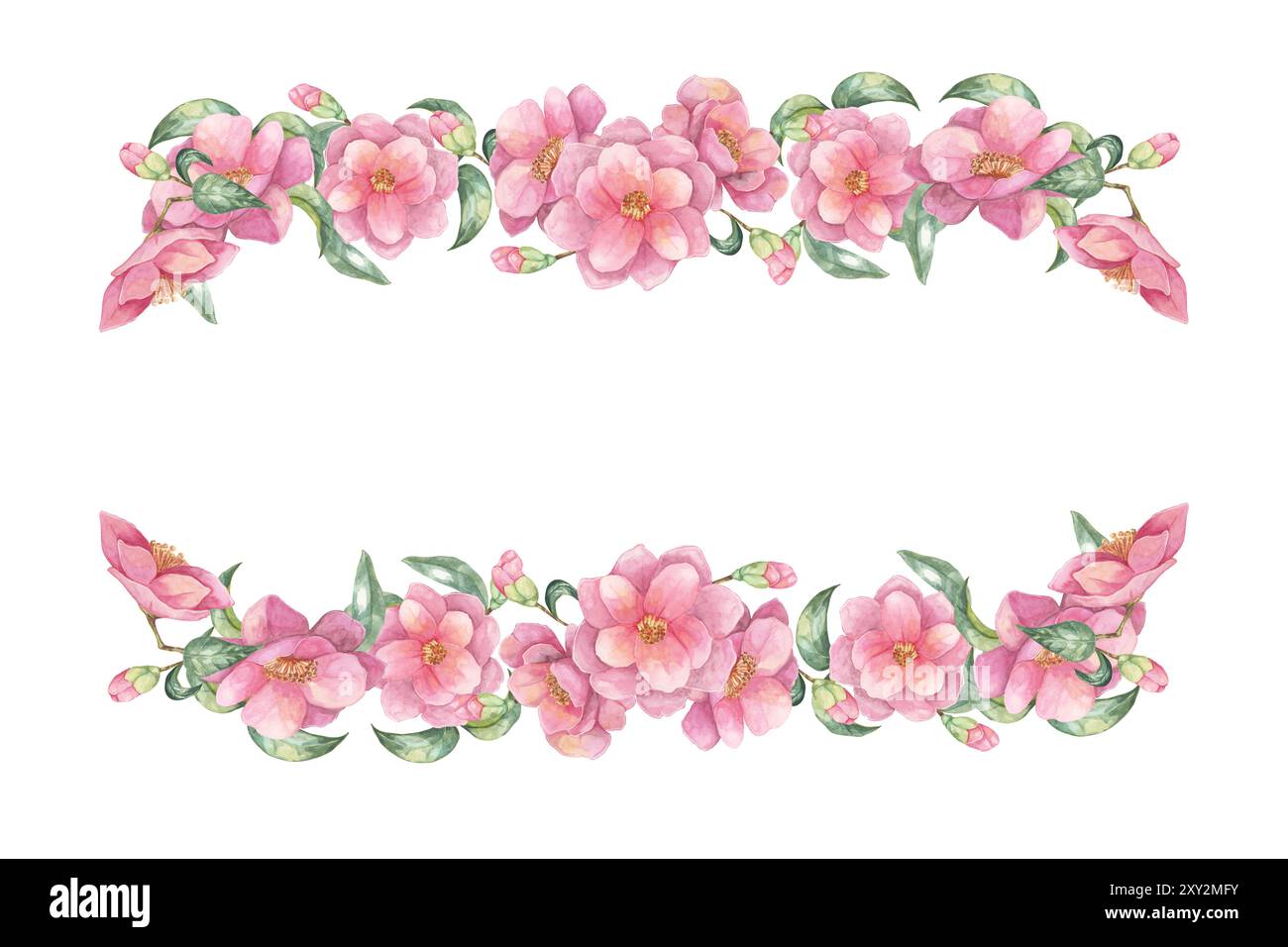 Cadre rectangulaire fait de délicates fleurs de camélia roses, de feuilles vertes et de bourgeons. Camellia japonica aquarelle clipart pour invitations de mariage, cartes de voeux, ou emballage de produit Banque D'Images