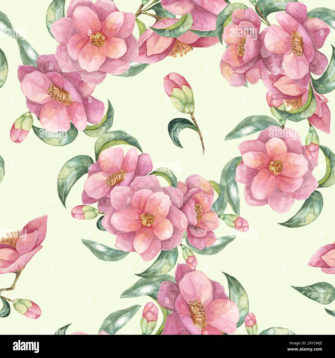 Clipart aquarelle à motif sans couture présente des fleurs de camélia roses et des feuilles vertes sur un fond vert clair. Conception botanique florale adaptée aux textiles, papiers peints ou emballages de produits Banque D'Images
