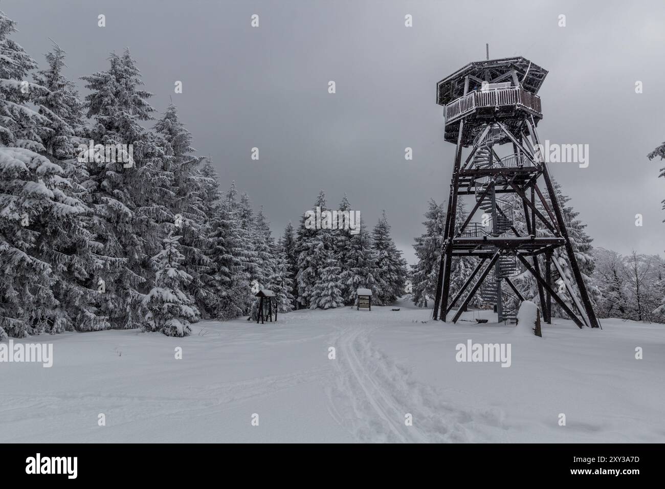 Tour de guet Anna dans les montagnes Orlicke hory, République tchèque Banque D'Images