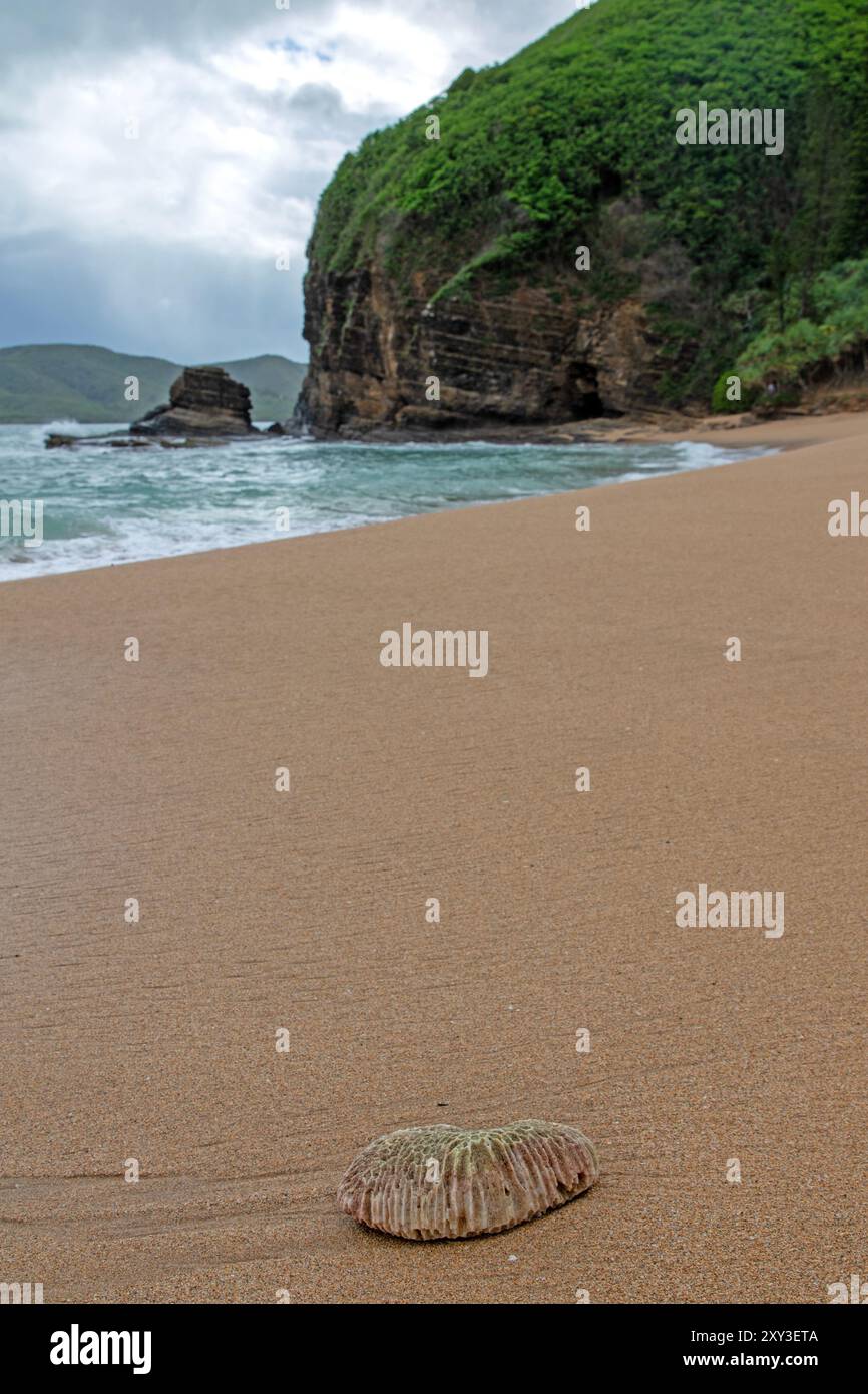 Turtle Bay, Nouvelle-Calédonie Banque D'Images