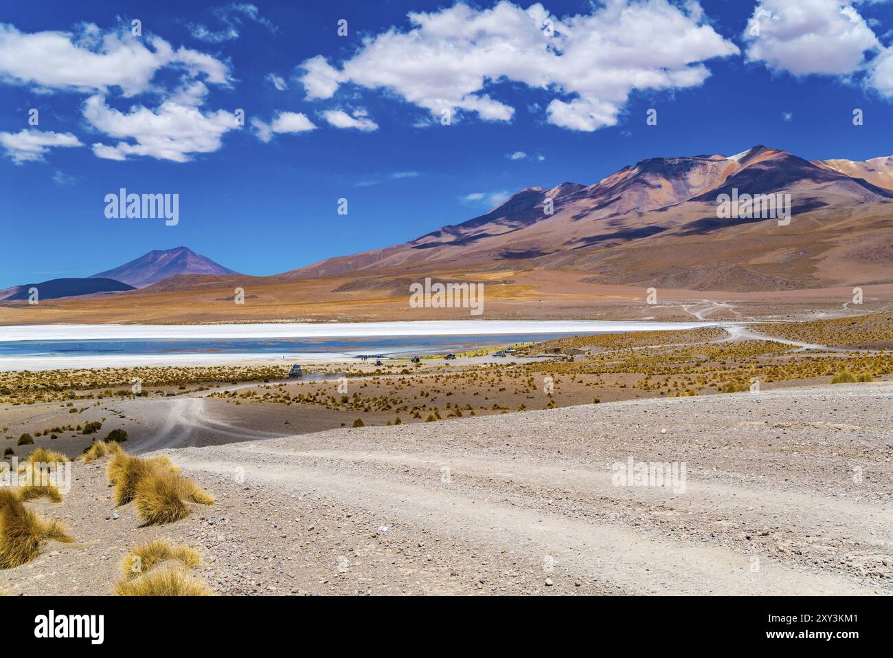 Paysage pittoresque de Laguna Canapa en journée ensoleillée avec le James's Flamingo. Laguna Canapa est un lac salé endorhéique situé sur l'altiplano bolivien Banque D'Images