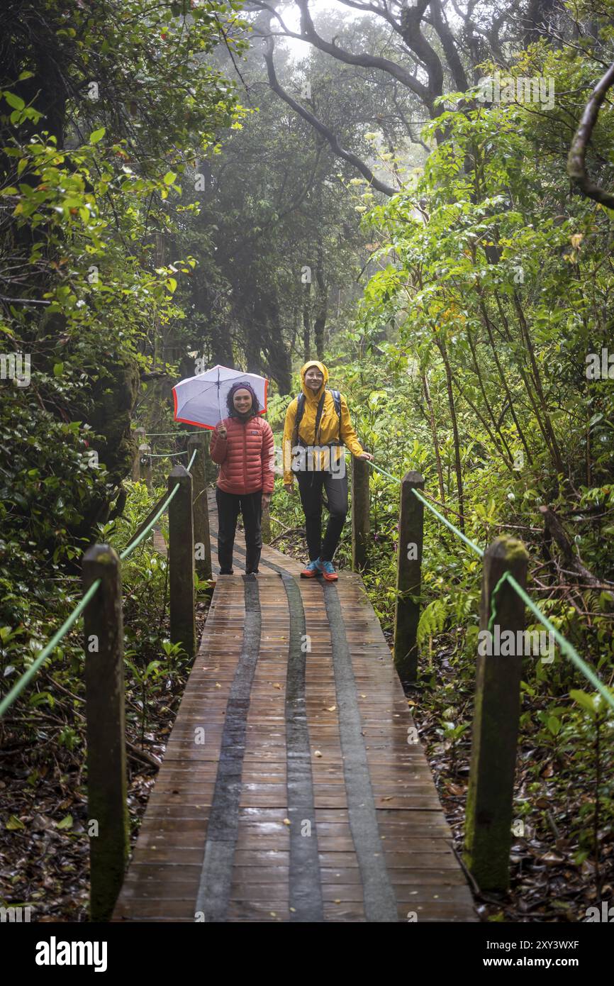 Deux jeunes femmes, touristes avec des parapluies sur un chemin en bois à travers la forêt tropicale brumeuse, la végétation dense, le parc national de Poas, les hautes terres centrales, Alajuela Banque D'Images