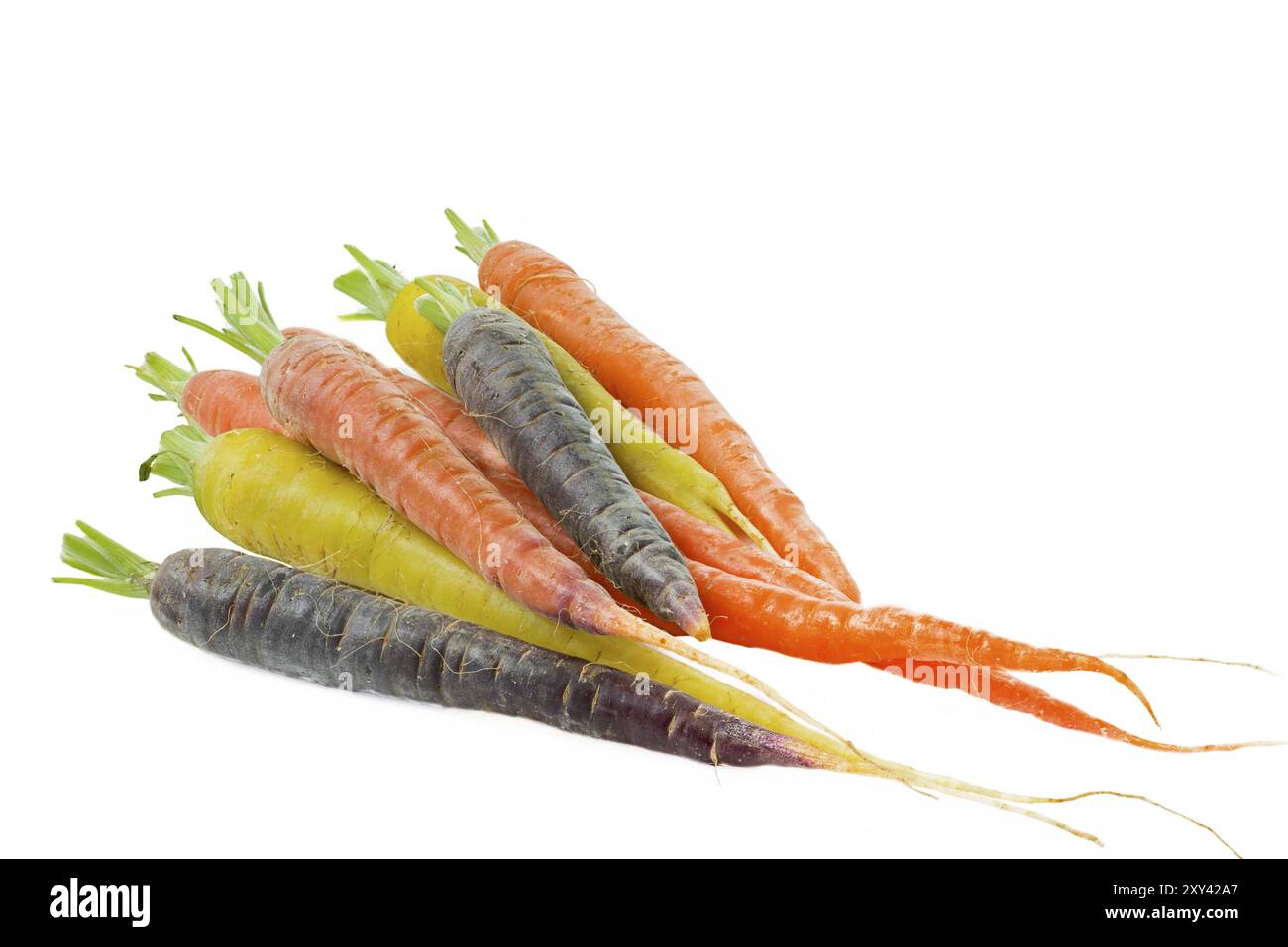 Des carottes crues en différentes couleurs Banque D'Images