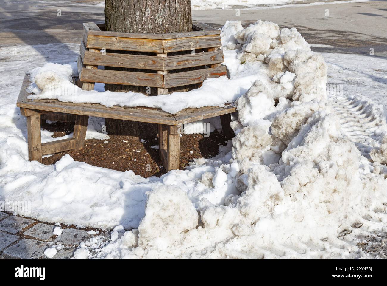 Banc par un arbre couvert de glace et de neige Banque D'Images