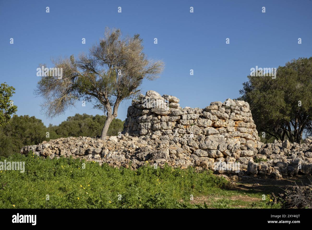 Talayot Circular, conjunto prehistorico de Capocorb Vell, principios del primer milenio a. C. (Edad de Hierro), Monumento Historico Artistico, Llucmaj Banque D'Images