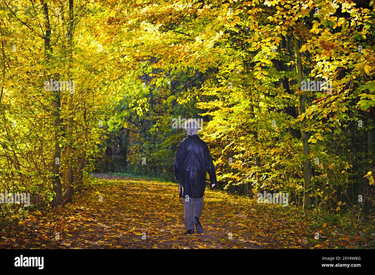 Senior sur une promenade en automne Banque D'Images