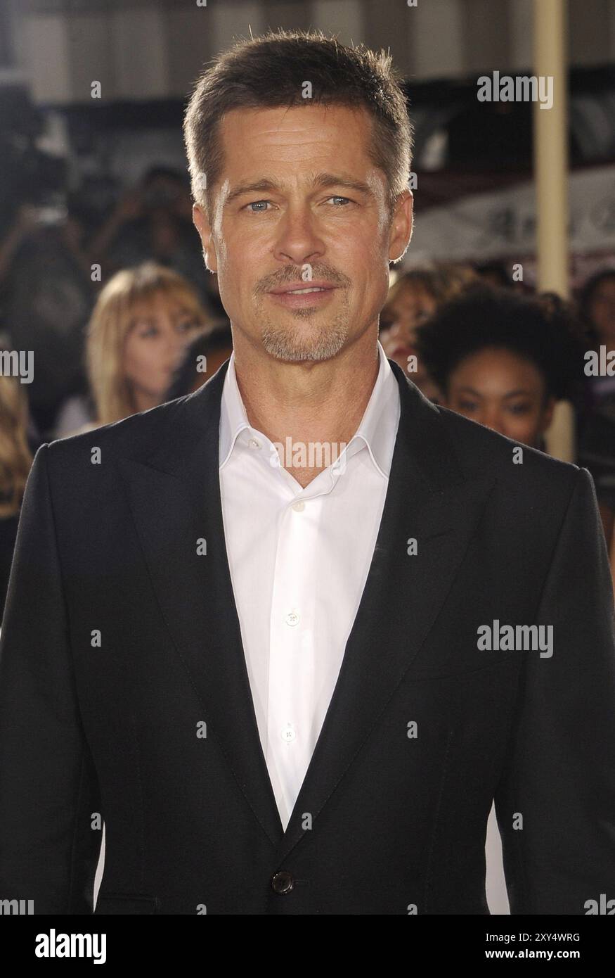 Brad Pitt à la première de 'Allied' à Los Angeles au Regency Village Theatre à Westwood, États-Unis le 9 novembre 2016 Banque D'Images