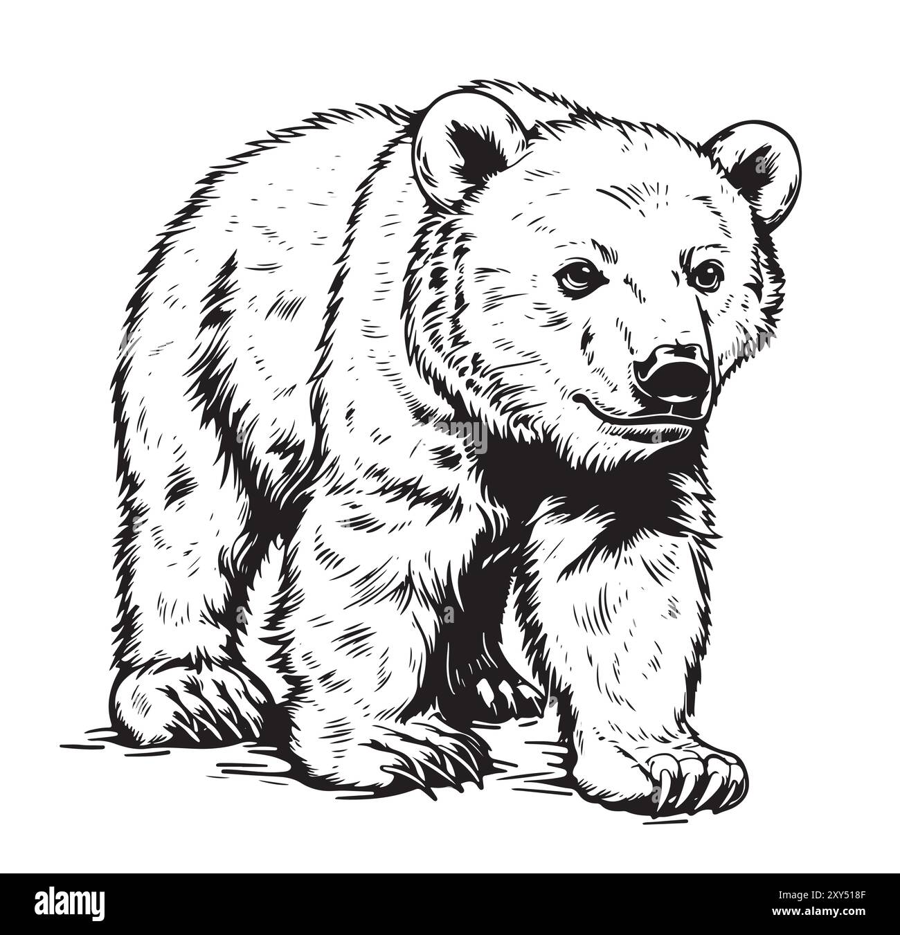 Dessinant à la main une illustration vectorielle ourson polaire Illustration de Vecteur Dessinant à la main une illustration vectorielle ourson polaire Illustration de Vecteur
