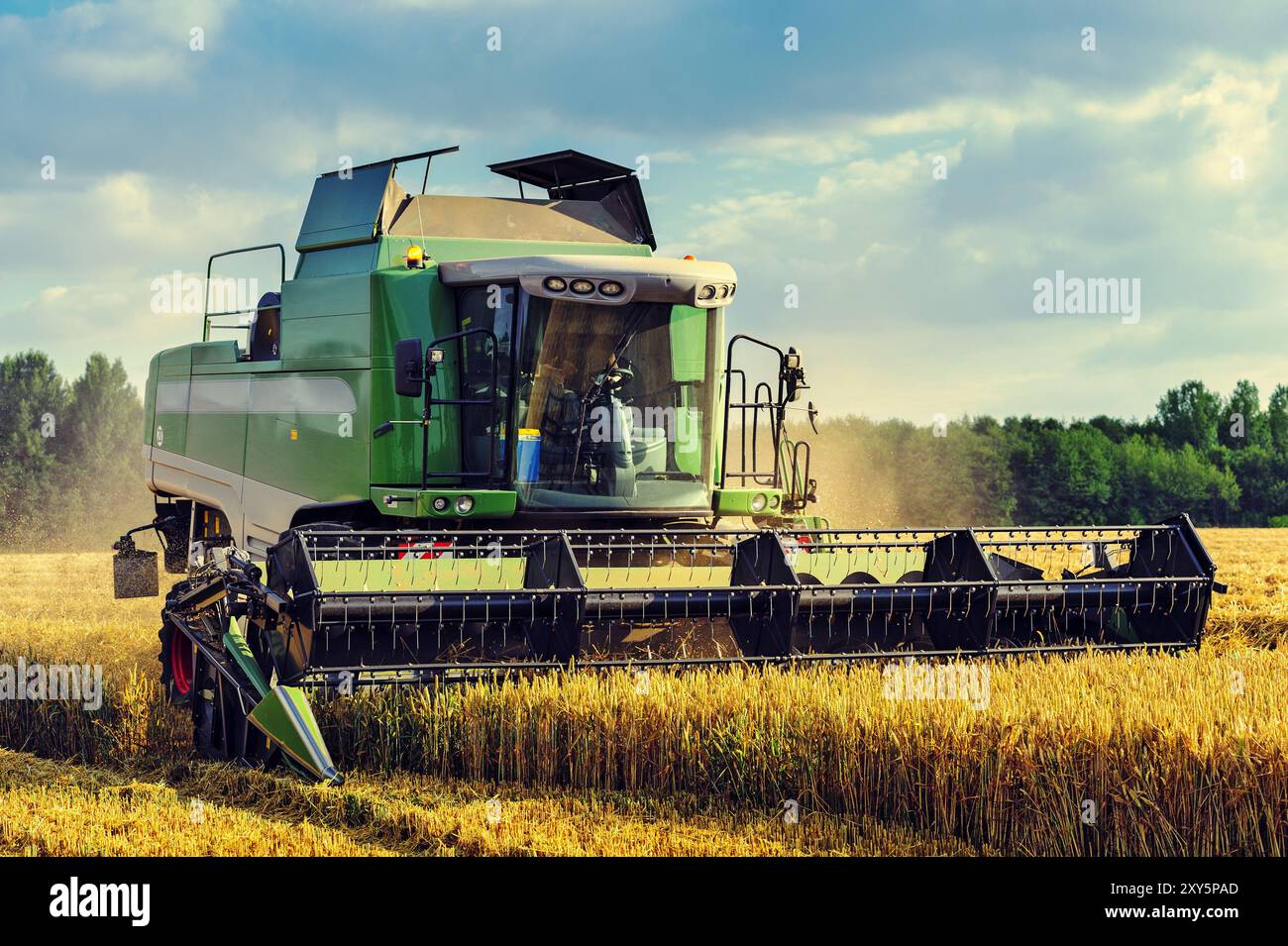 Moissonneuse-batteuse récoltant dans un champ de maïs un soir d'été Banque D'Images