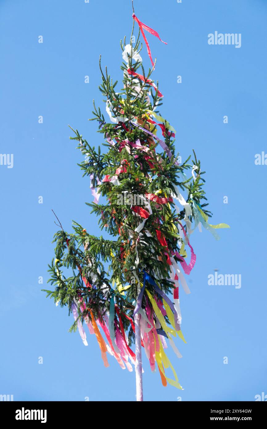 Maypole Fruit Tree Arbre et maypole Banque de photographies et d’images à haute résolution ...