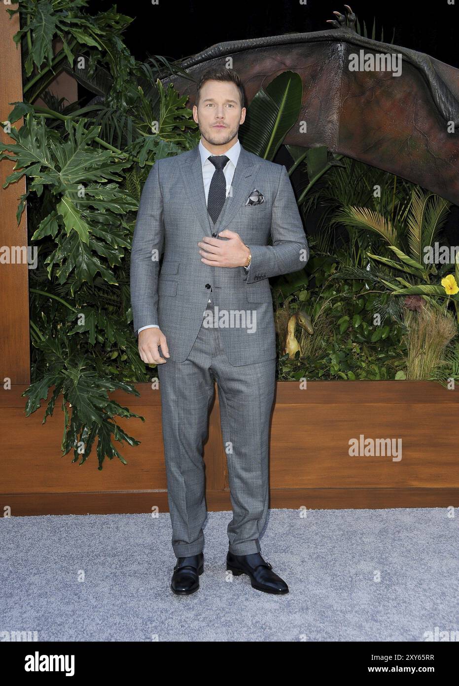 Chris Pratt lors de la première de Jurassic World : Fallen Kingdom à Los Angeles, le 12 juin 2018, au Walt Disney concert Hall de Los Angeles Banque D'Images