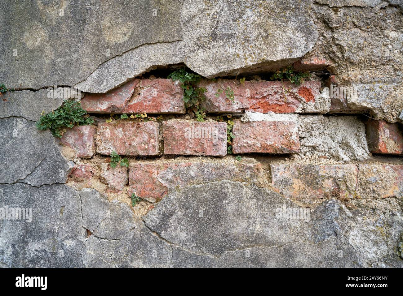 Mur délabré dans le vieux centre-ville de Karlovy Vary en République tchèque Banque D'Images