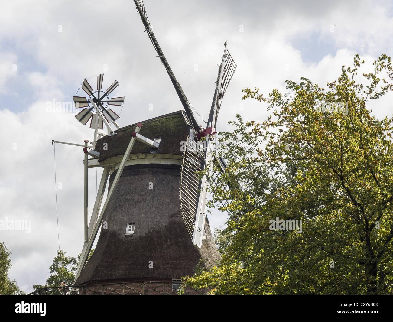 Moulin à vent avec des ailes, entouré d'arbres et du ciel, scène rurale et historique, Bad Zwischenahn, ammerland, allemagne Banque D'Images