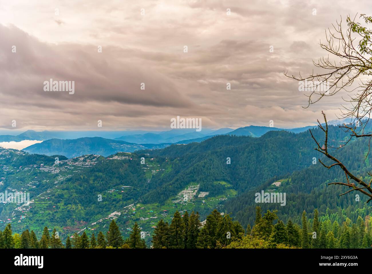 D'épais nuages de mousson pendent au-dessus des montagnes autour de Narkanda, dans l'Himachal Pradesh, en Inde. De nombreux vergers de pommiers parsèment le paysage montagneux. Banque D'Images