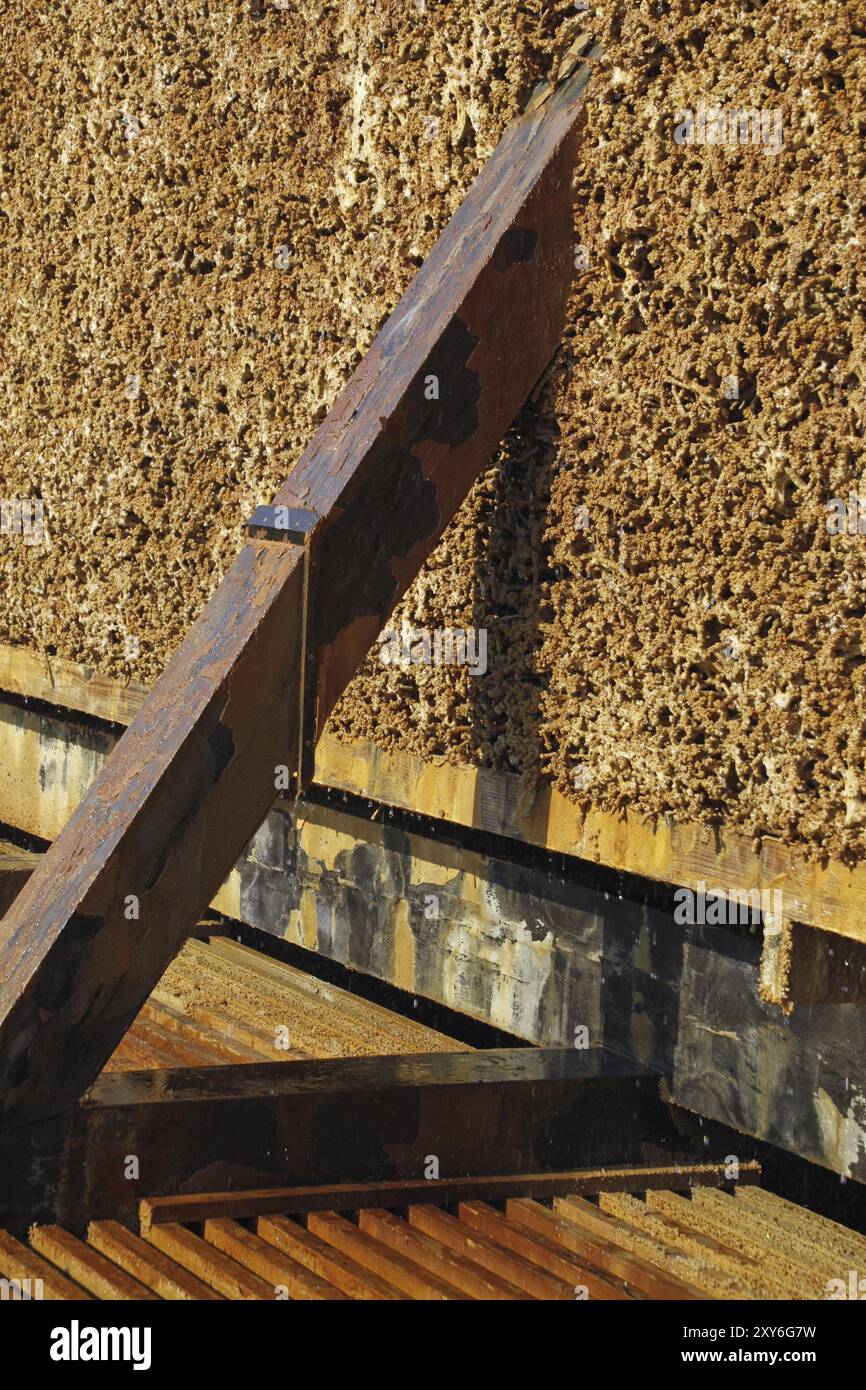 Maison de remise des diplômes à Bad Salzuflen Banque D'Images
