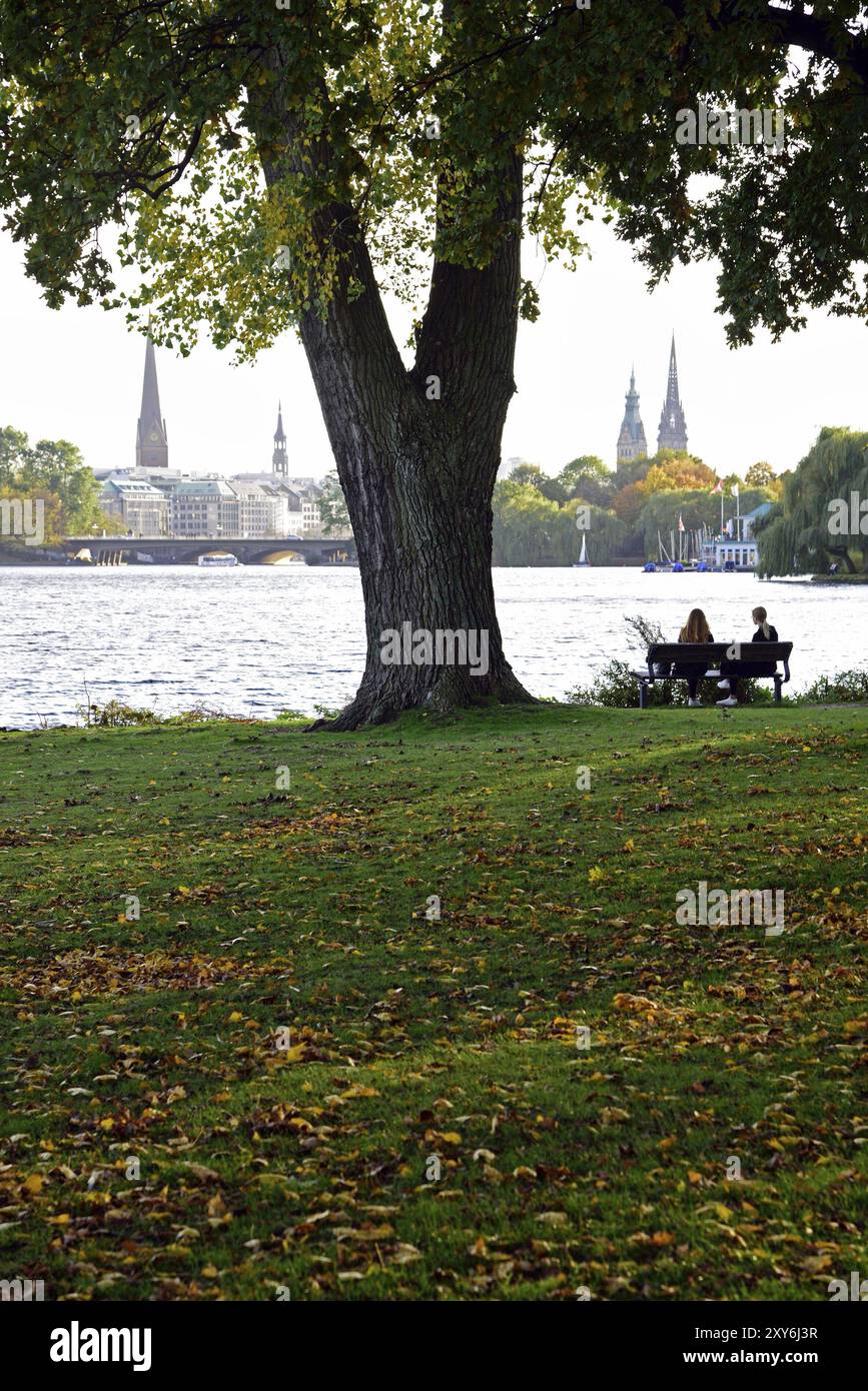 Europe, Allemagne, Hambourg, ville, Outer Alster Lake, sentier de randonnée Alsterpark, en automne, Tours de la ville, banc du parc, Hambourg, Hambourg, Repub fédéral Banque D'Images