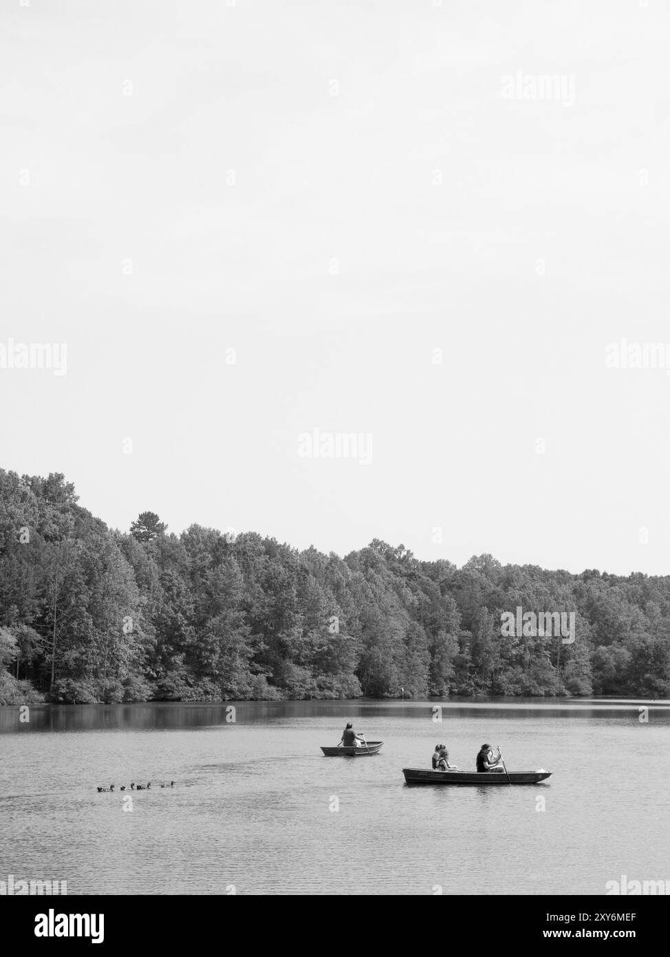 Les visiteurs font des bateaux à rames sur le lac serein de Andrew Jackson State Park à Lancaster, Caroline du Sud, États-Unis. Banque D'Images