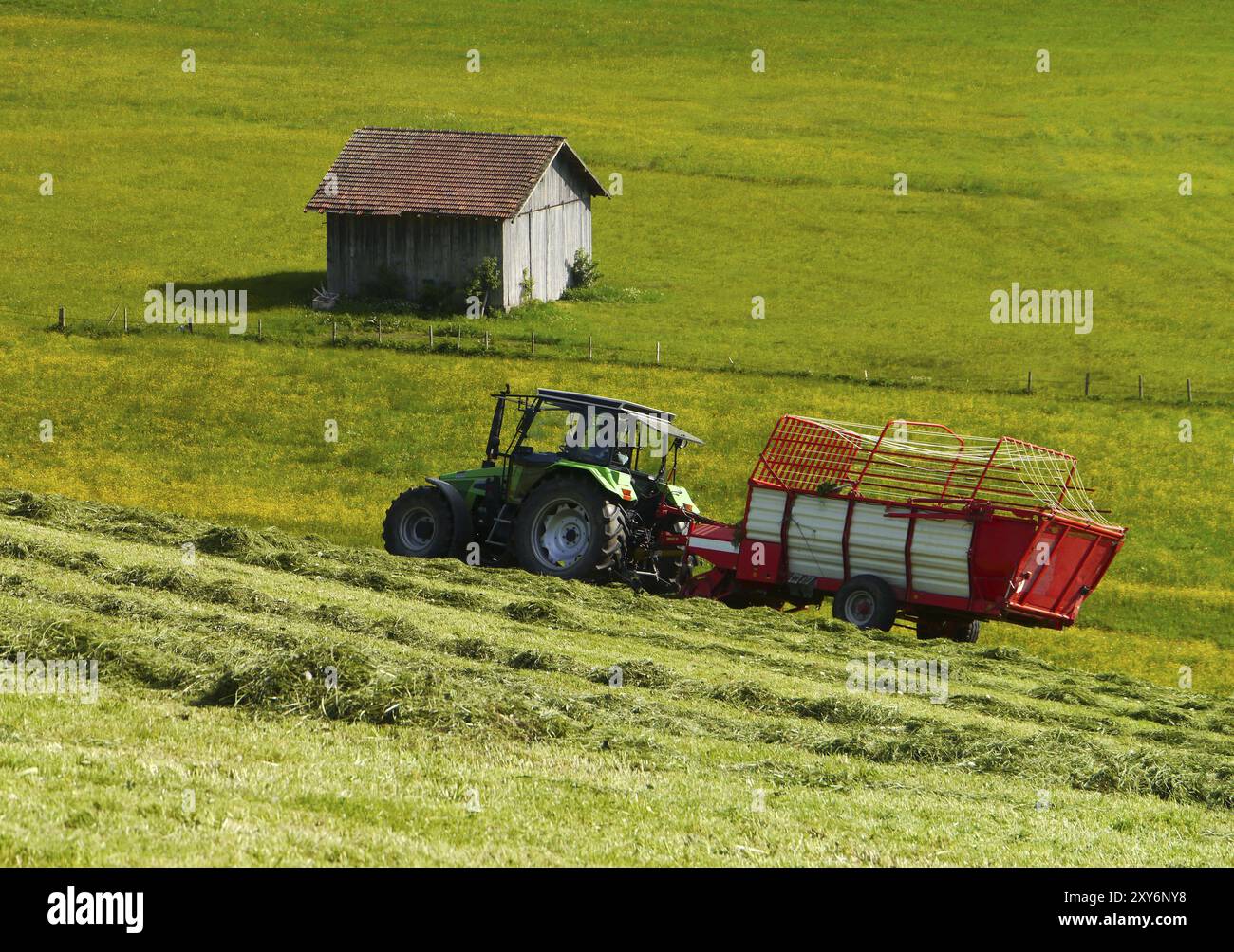Récolte de foin Banque D'Images