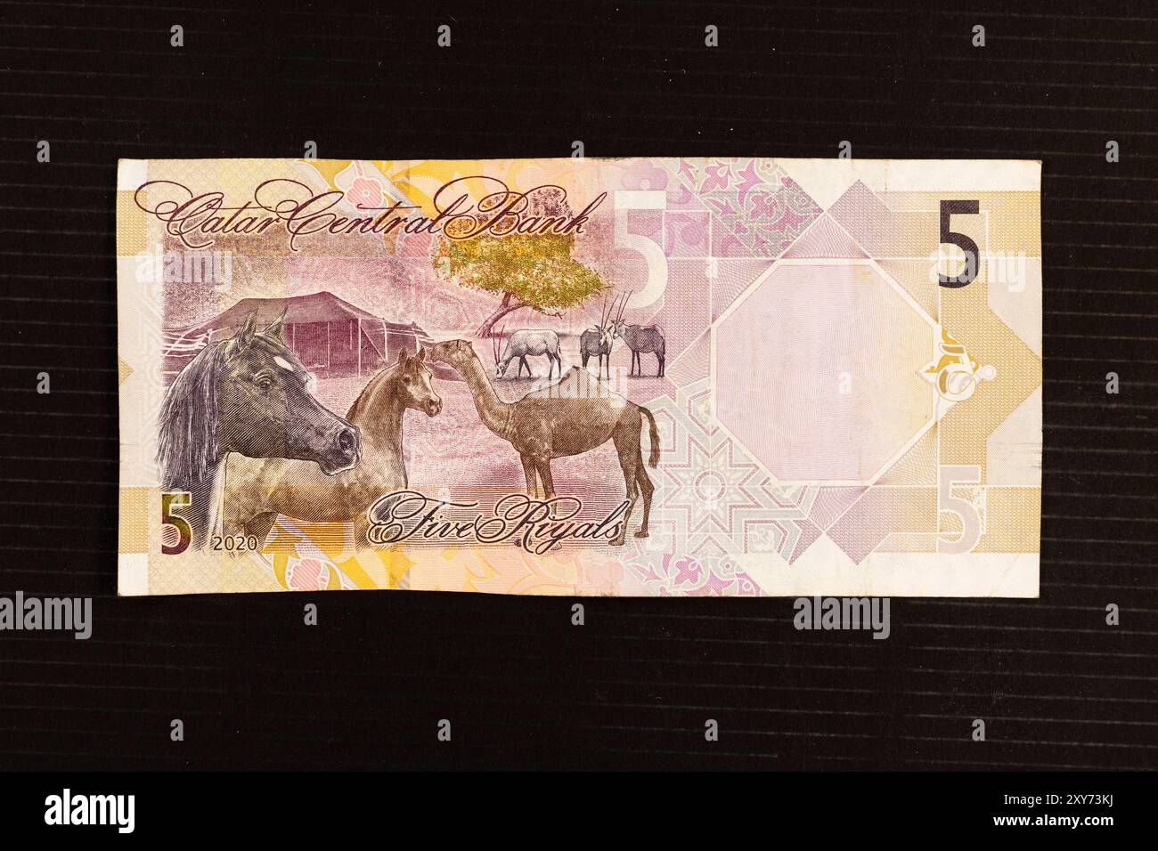 Scène désertique traditionnelle comprenant faune (chevaux arabes, chameau, oryxès), flore (Al Qataf) et tente à cheveux (buryuut hajar), portrait du Qatar 5 riyals 2 Banque D'Images