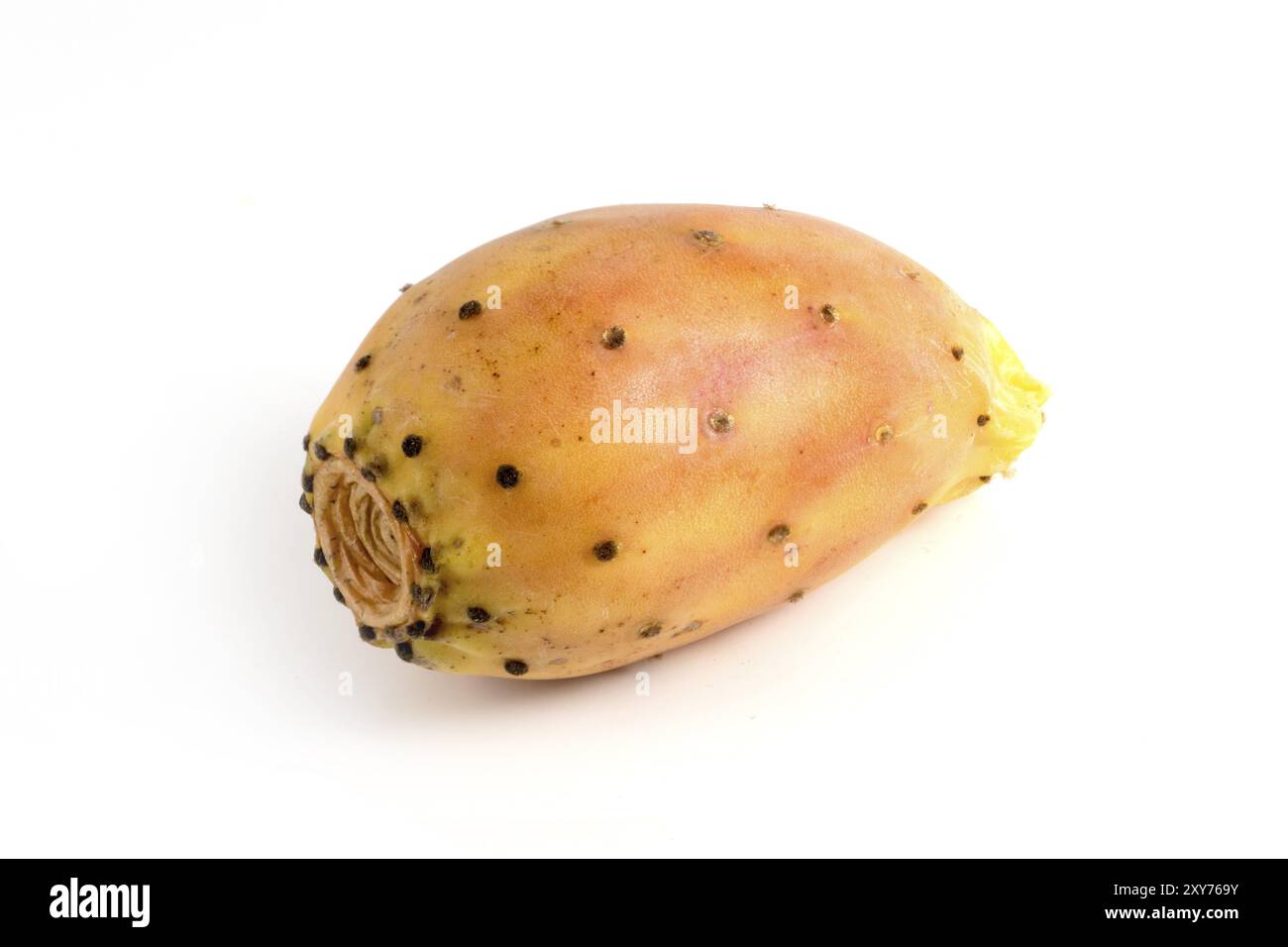 Poires à barbarie, fruit isolé sur fond blanc Banque D'Images