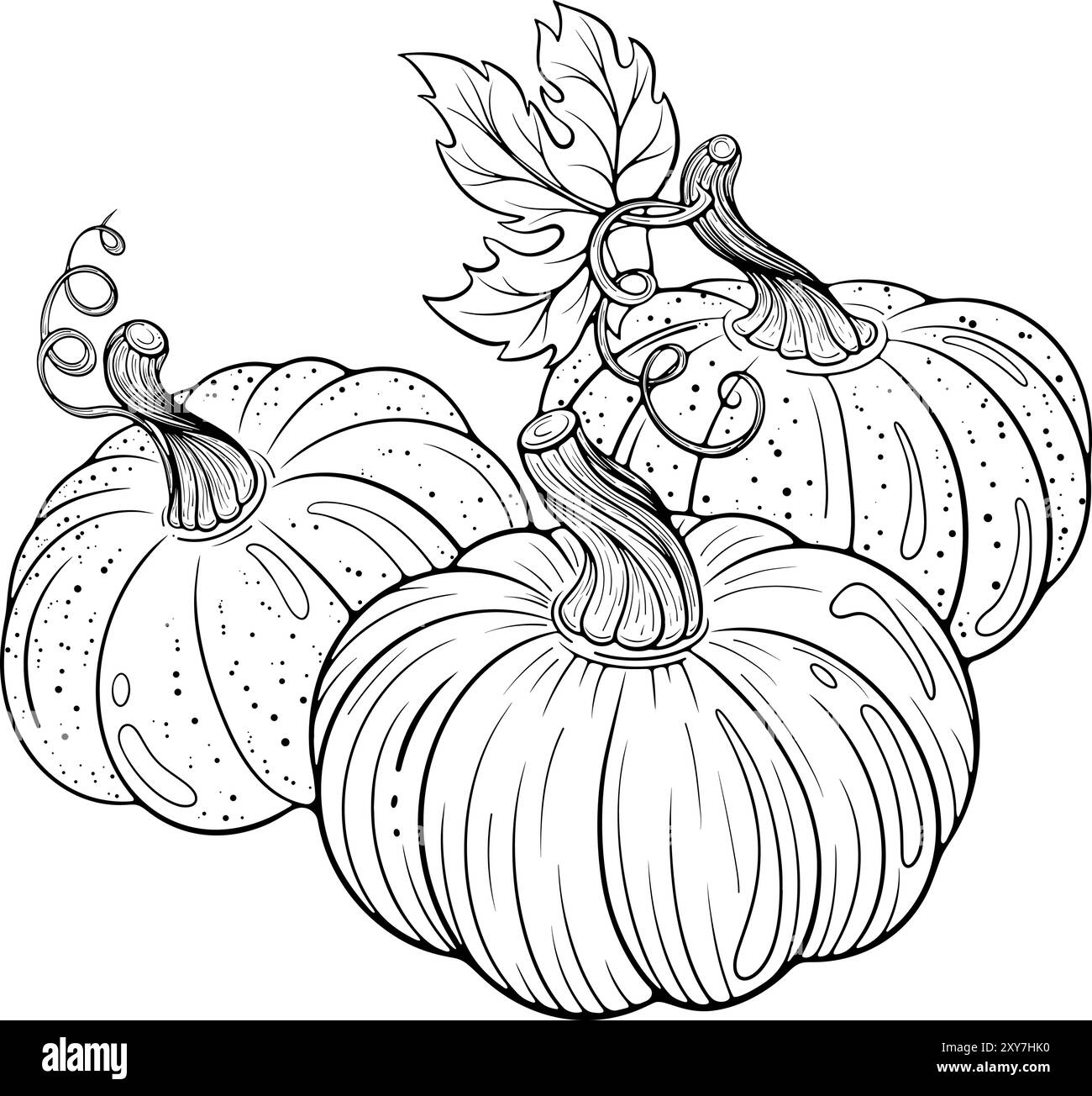 Trois lignes de citrouilles Illustration de Vecteur