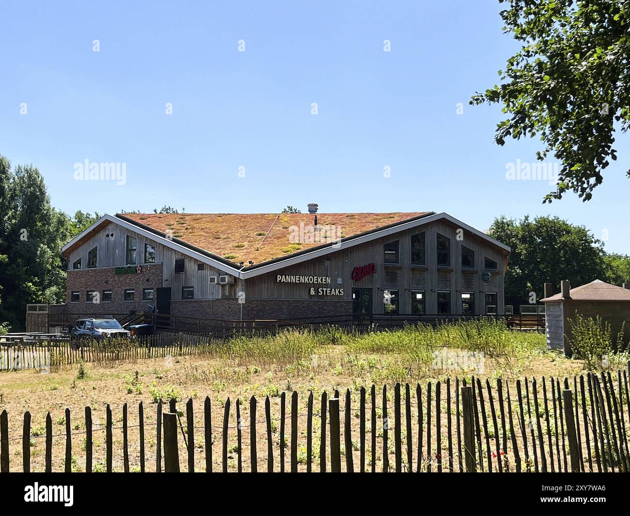 Den Helder, pays-Bas. 15 juin 2023. Toits de sedum respectueux de l'environnement Banque D'Images