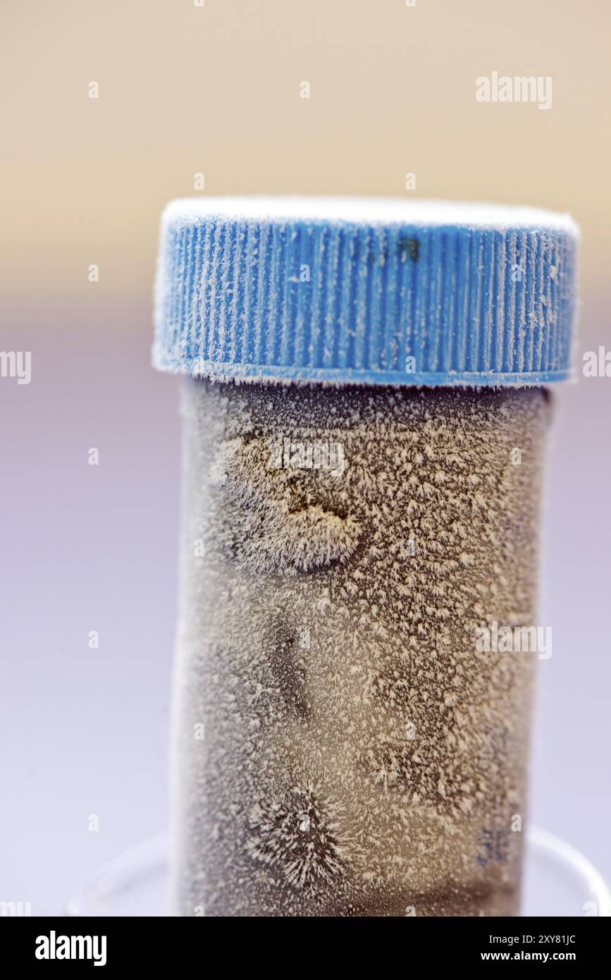 Flacon d'échantillon congelé utilisé dans un laboratoire biochimique Banque D'Images