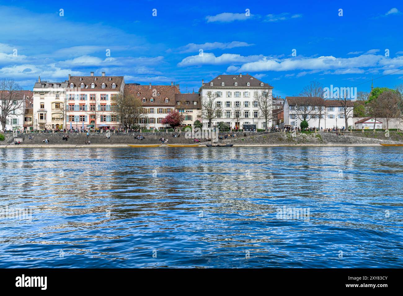 Münster Ferry 'Leu' est un ferry de réaction sur la rive nord du Rhin. Il utilise le courant de la rivière pour prendre le bateau d'un côté à l'autre. Banque D'Images