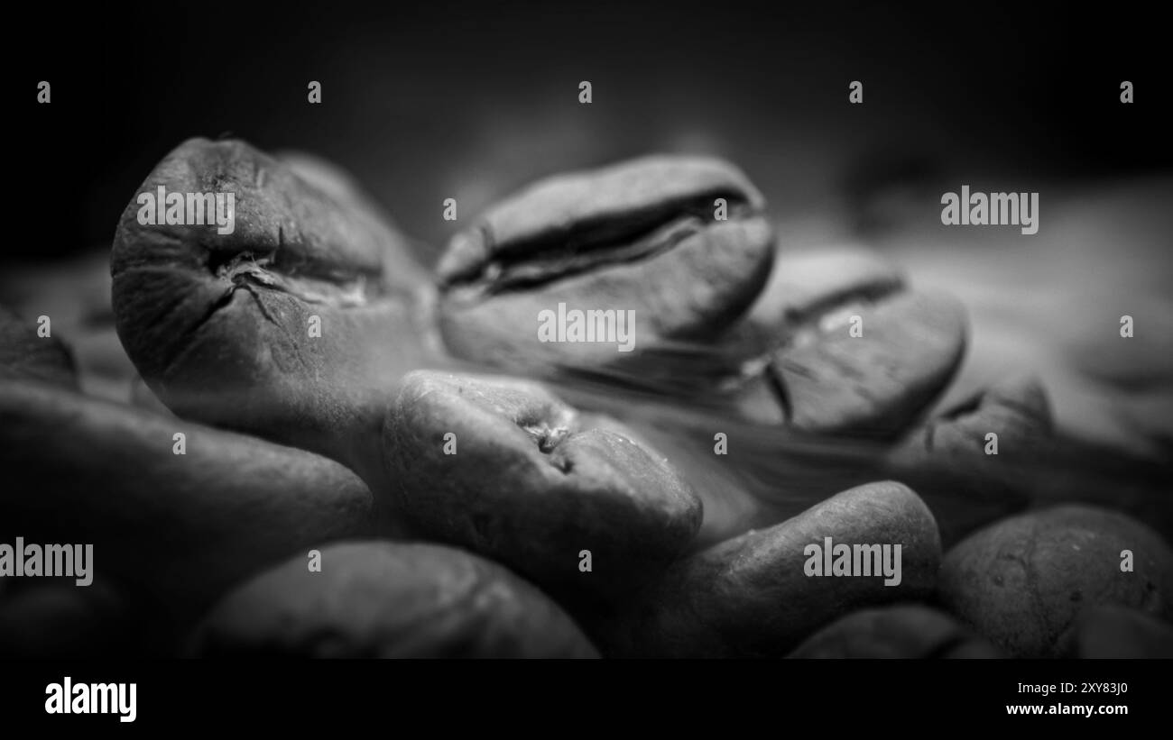 Un tas de grains de café empilés ensemble, prêts à être infusés dans une délicieuse tasse de café. Gros plan de grains de café arabica torréfiés. Différents types Banque D'Images