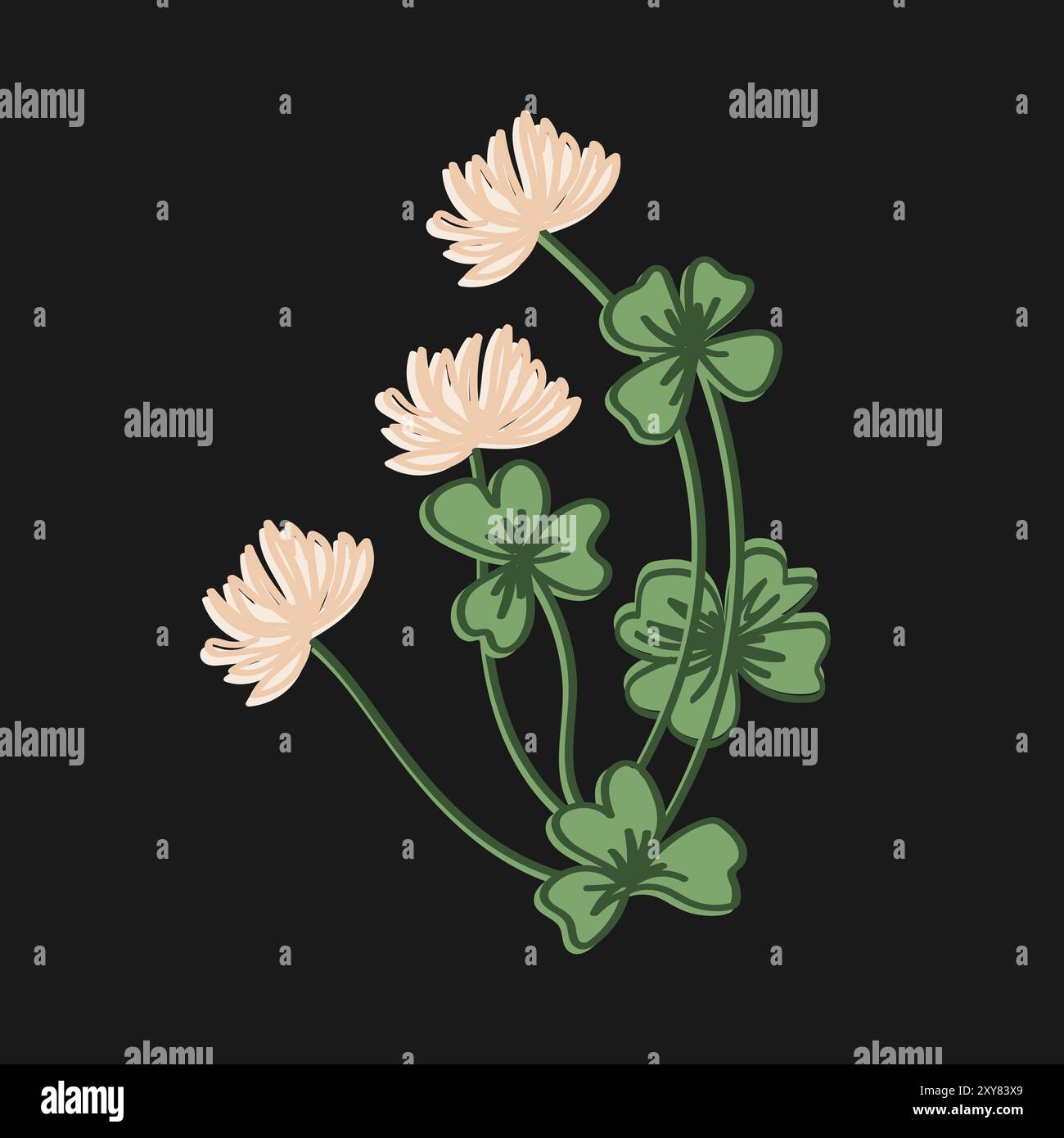 Trèfle à quatre et trois feuilles et fleur de trèfle. Plante de prairie. Illustration isolée vectorielle Illustration de Vecteur
