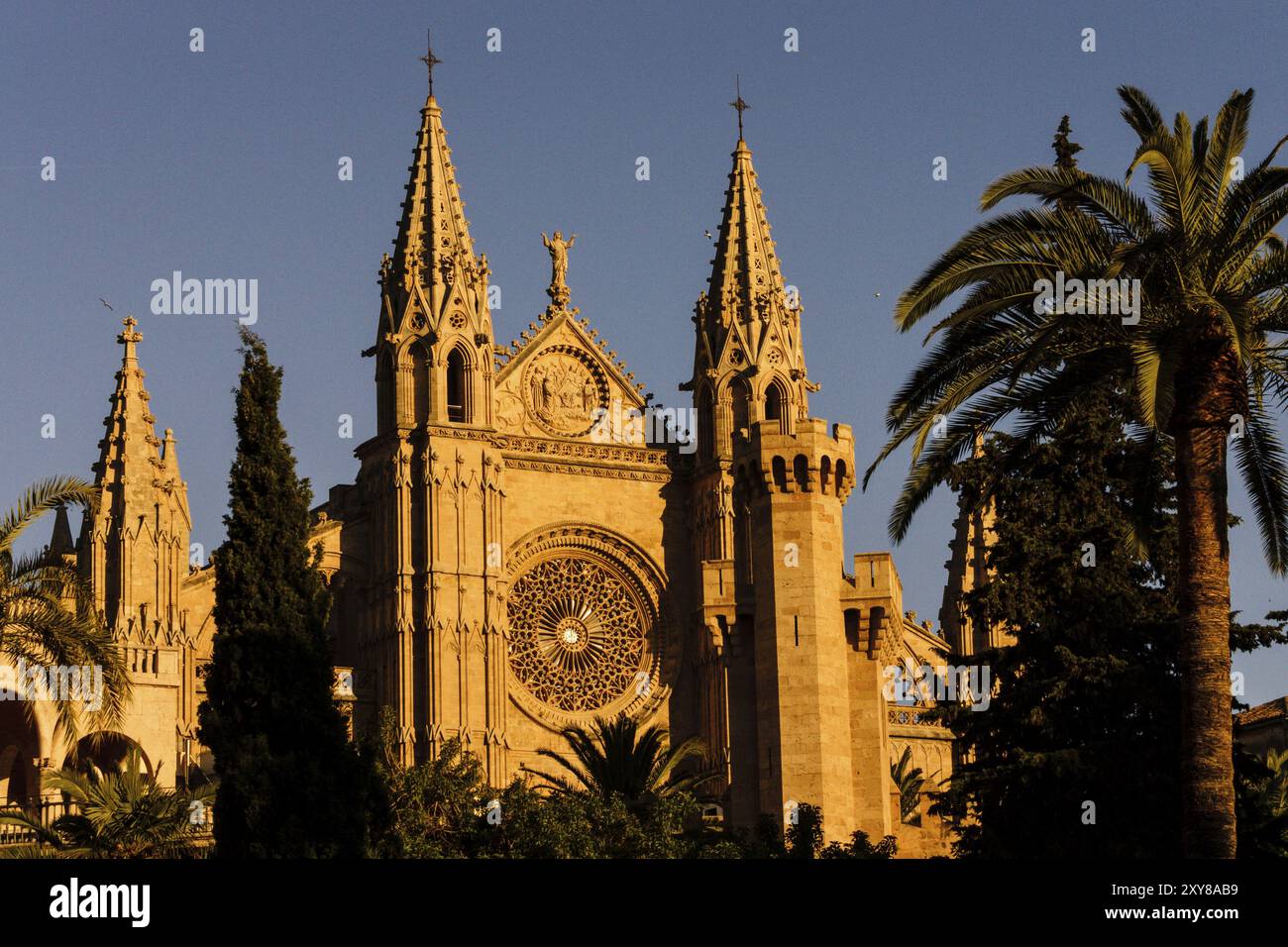 Catedral de Mallorca, siglo XIII, Monumento Histirico-artistico, Palma, majorque, islas baleares, espana, europa Banque D'Images