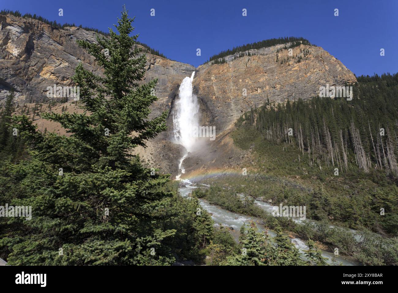 Parc national Takakkaw Falls im Yoho, en Colombie-Britannique Banque D'Images