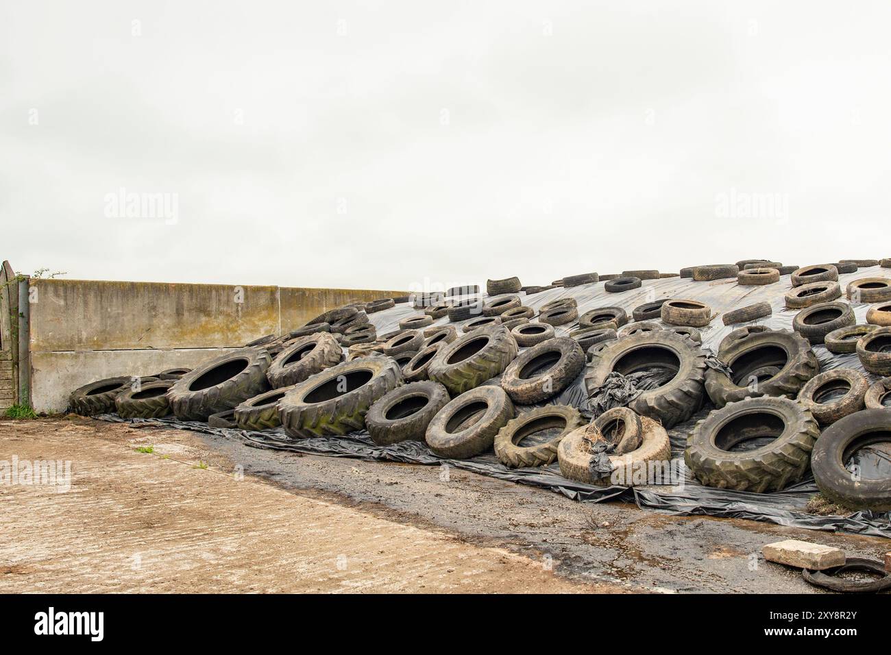 Système d'ensilage auto-alimenté dans une ferme en Angleterre Banque D'Images