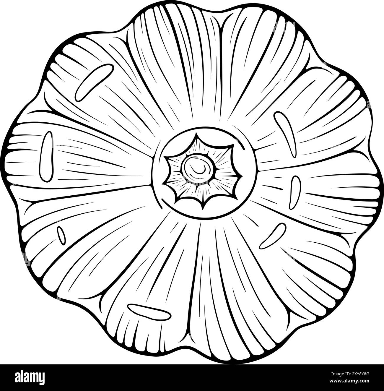 Citrouille vue de dessus dessin au trait Illustration de Vecteur