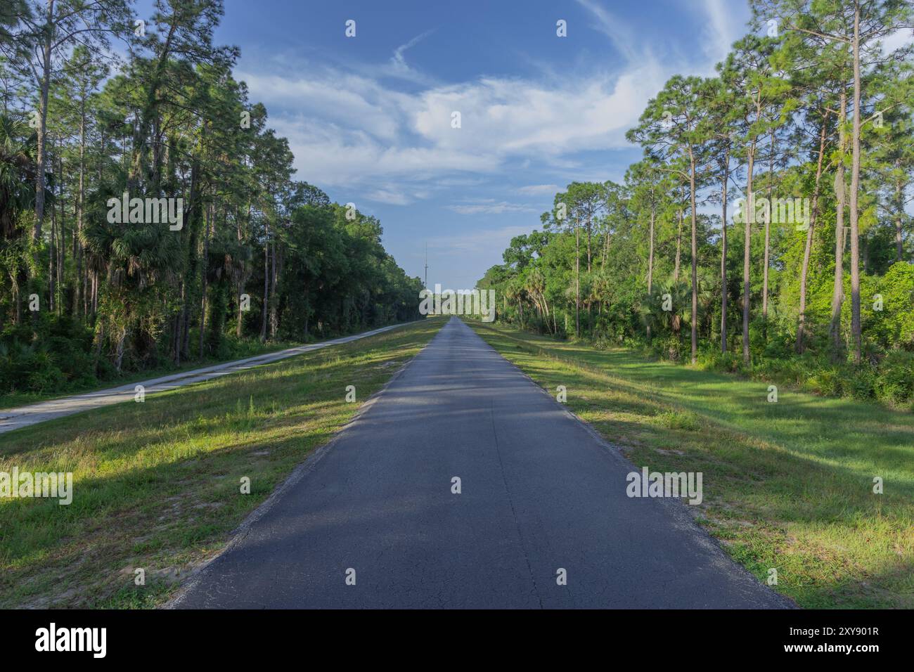 Parc de conservation de Flatwoods City of Tampa Hillsboro County Florida Recreation Banque D'Images