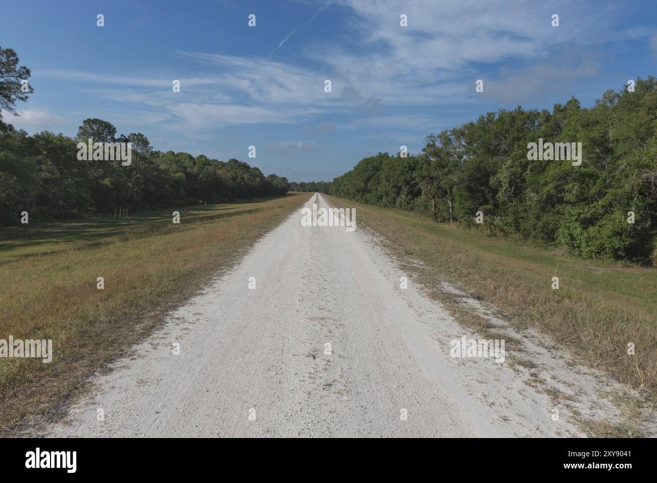 Parc de conservation de Flatwoods City of Tampa Hillsboro County Florida Recreation Banque D'Images
