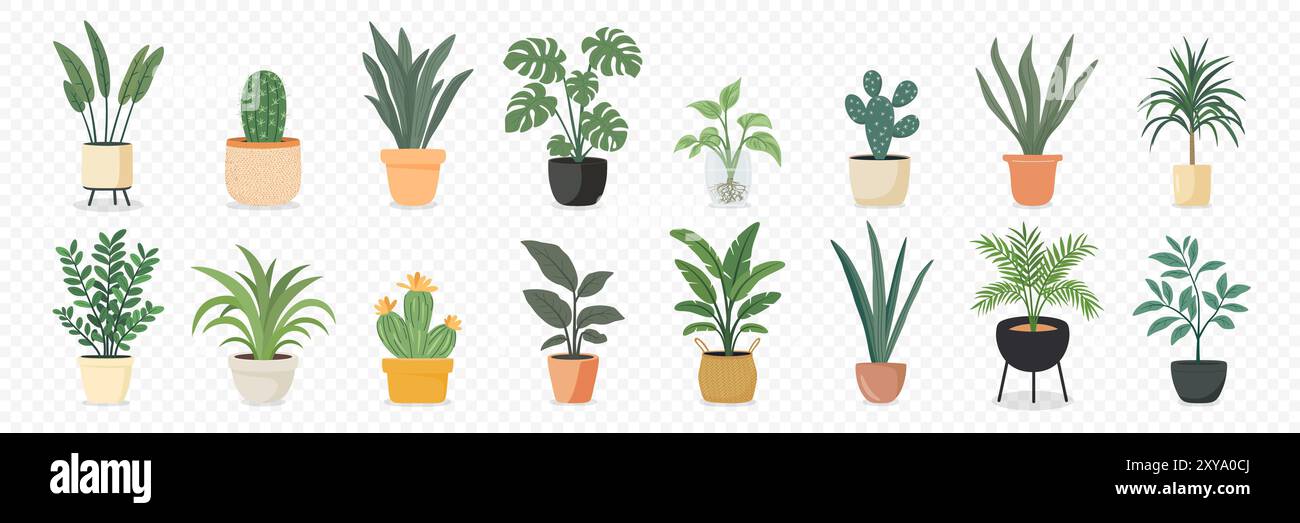 Plantes d'intérieur mignonnes, ensemble de vecteur plat. Plantes de maison en pots en céramique, tasses, jardinières de panier. Collection décorative de plantes d'intérieur isolé sur blanc Illustration de Vecteur