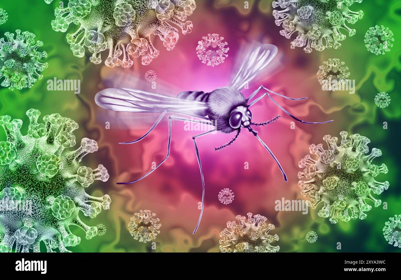 Encéphalite équine de l'est propagation des moustiques ou EEE comme virus rare ou maladie virale propagée par les moustiques infectés propageant des agents pathogènes au t transmis Banque D'Images Encéphalite équine de l'est propagation des moustiques ou EEE comme virus rare ou maladie virale propagée par les moustiques infectés propageant des agents pathogènes au t transmis Banque D'Images