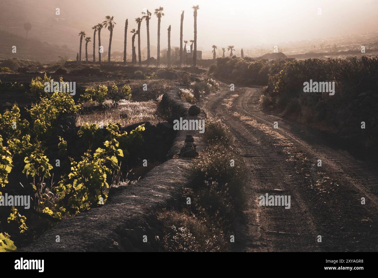 Un chemin de terre traversant Tabayesco, une petite ville de Lanzarote dans les îles Canaries en Espagne Banque D'Images