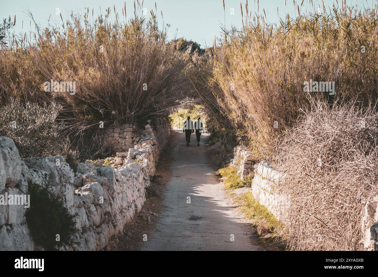 Deux personnes marchent sur une route rurale passant devant des murs de pierre dans la campagne Mellieha, Malte Banque D'Images