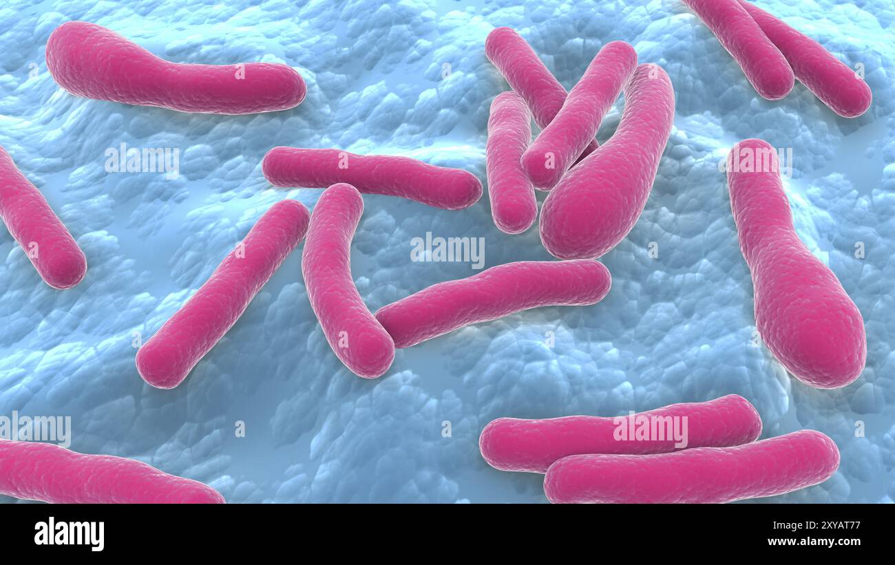 Illustration biomédicale des bactéries Clostridium botulinum Banque D'Images