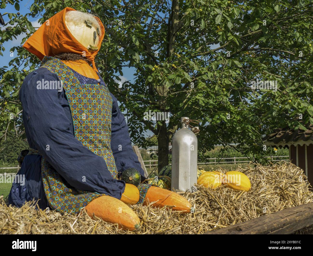 Une marionnette de paille aux vêtements traditionnels est entourée de citrouilles. Un cadre rural automnal, borken, muensterland, Allemagne, Europe Banque D'Images