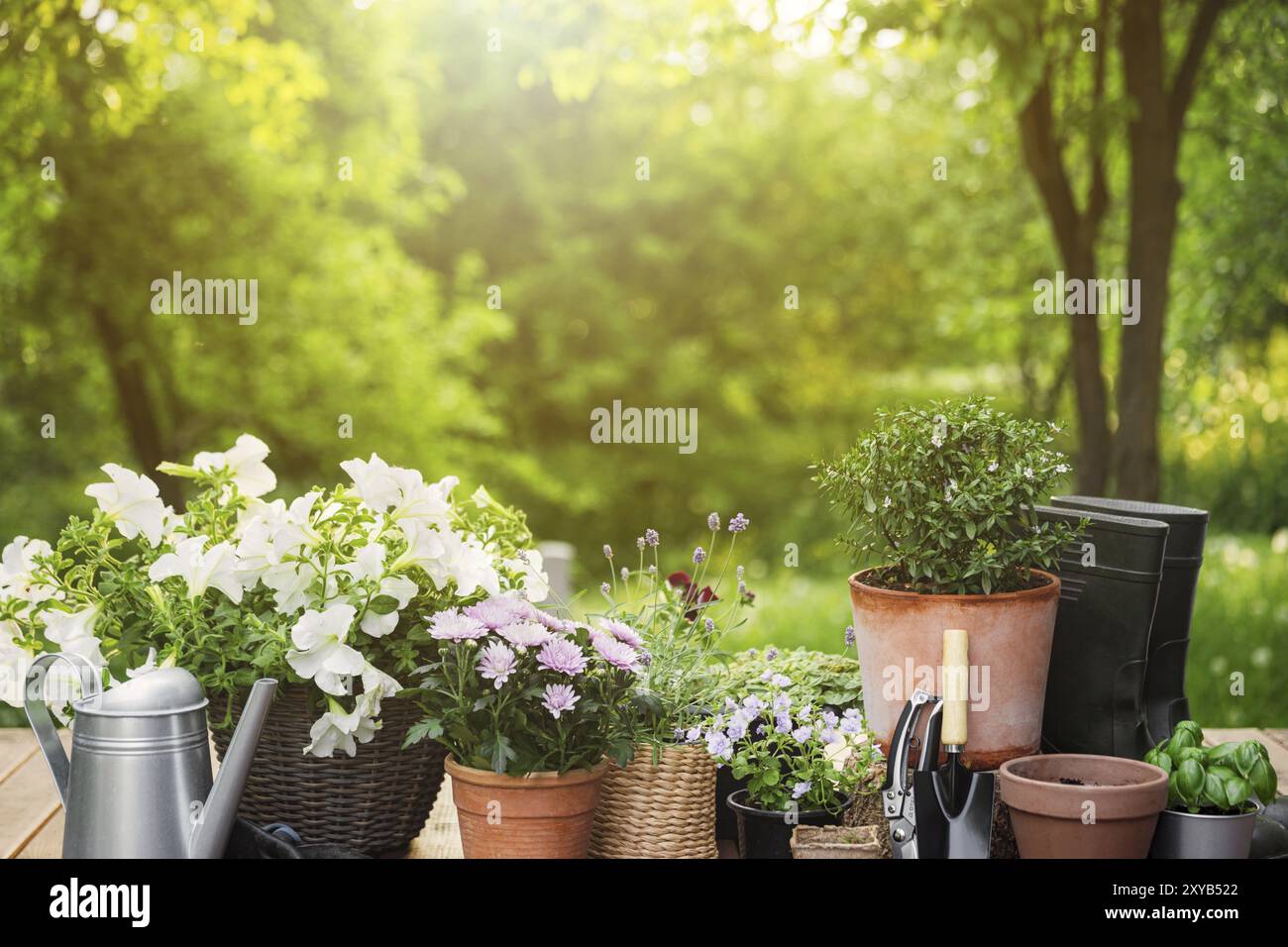Différentes fleurs et herbes en pot, équipement de jardinage, instruments et outils sur fond d'arbres de jardin verts. Concept de passe-temps sur terrasse en bois Banque D'Images
