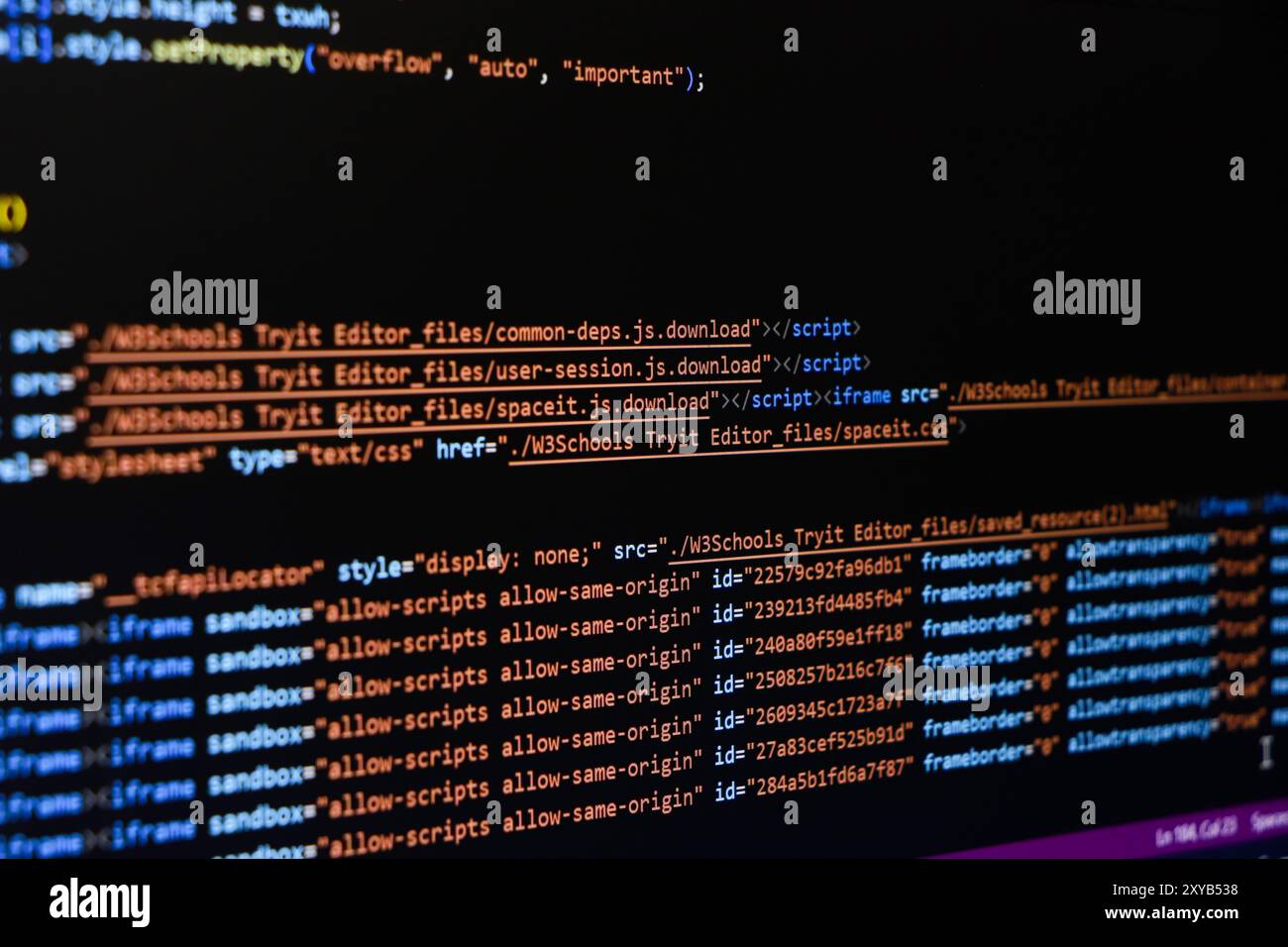 Écran de résumé du code de programmation du développeur de logiciel. Script d'ordinateur Banque D'Images