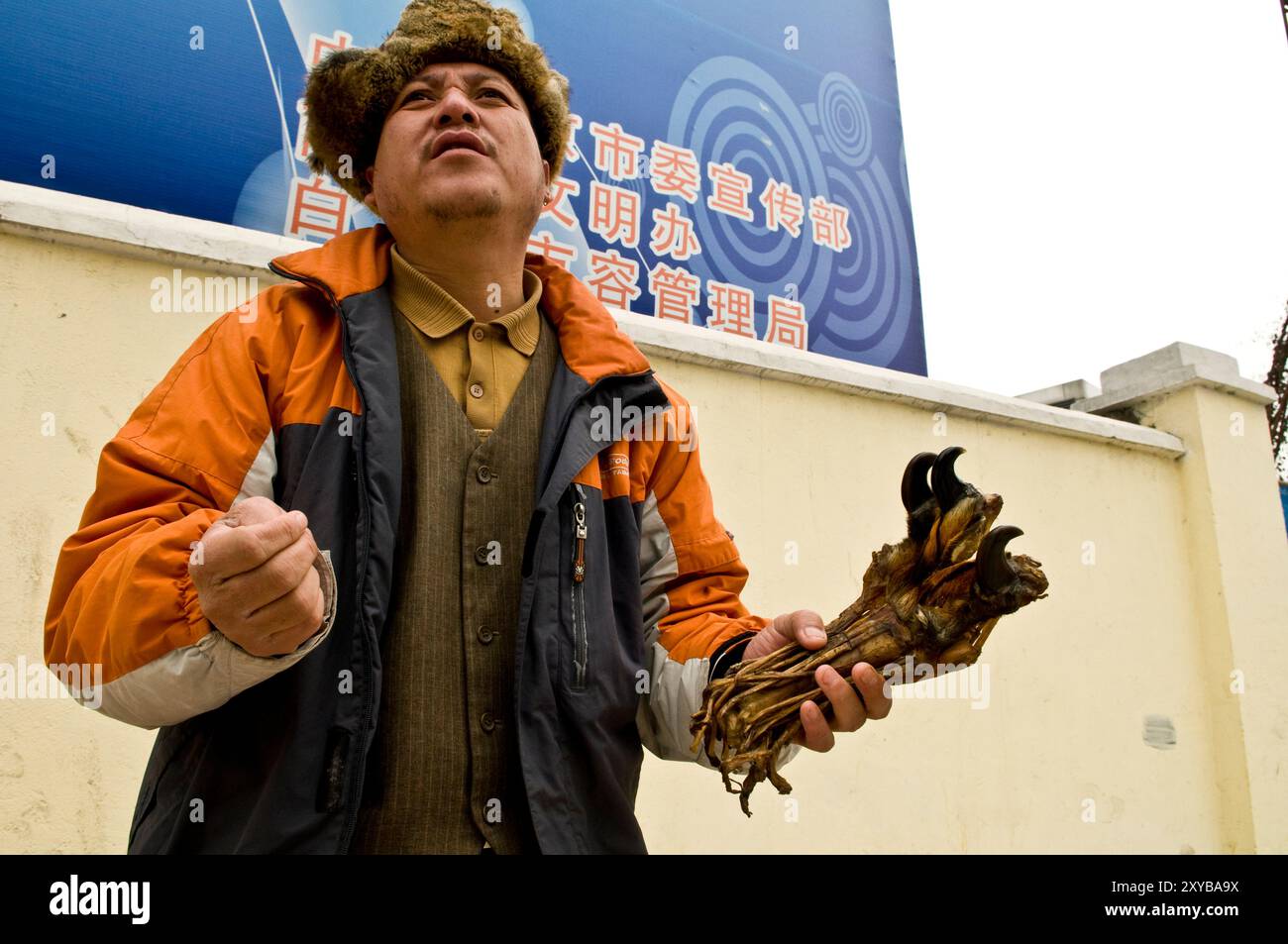 Commerce illégal de pièces d'animaux en Chine. La patte de tigre et d'autres parties de tigre ainsi que d'autres espèces menacées sont vendues dans toute la chine. Banque D'Images