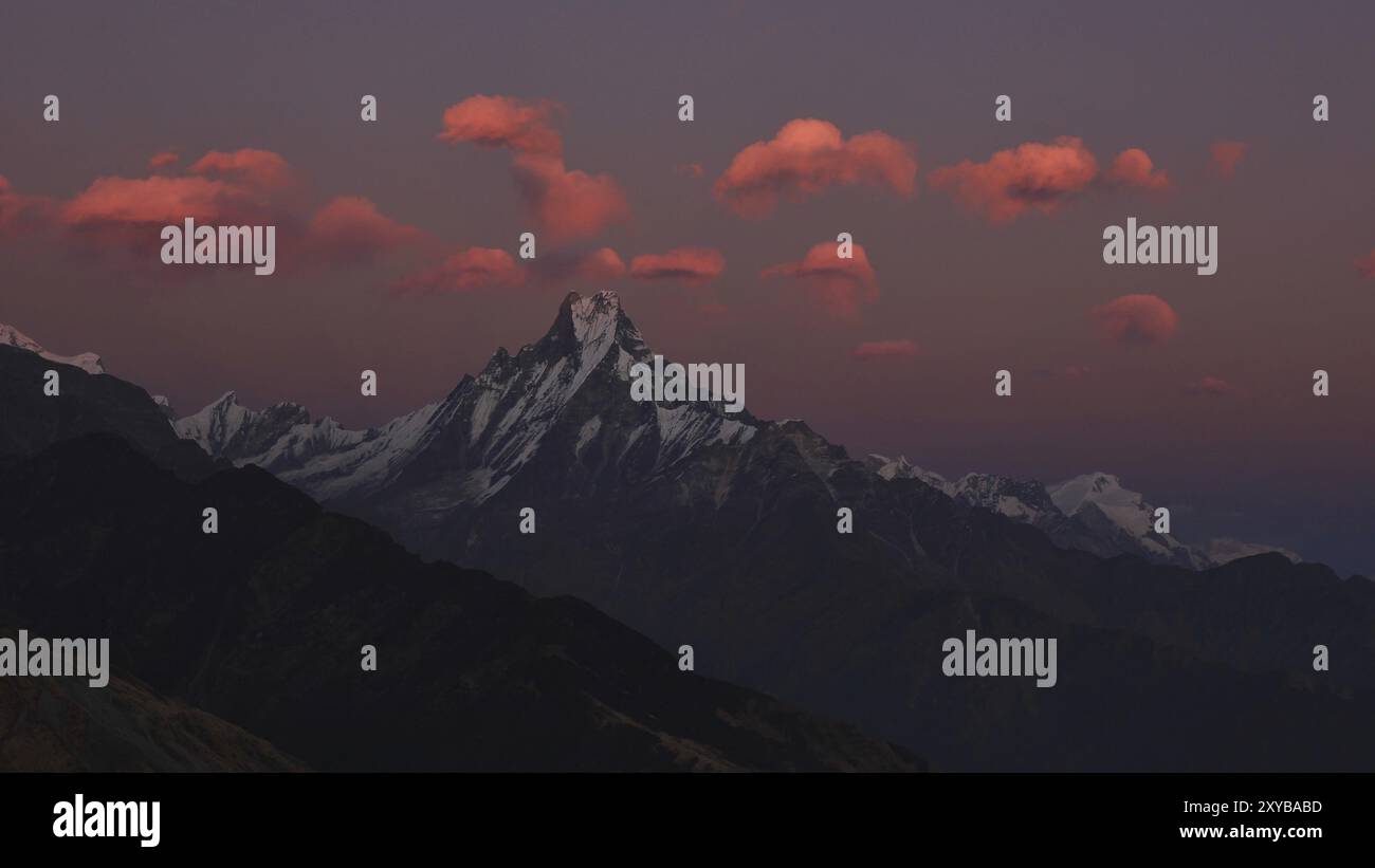 Scène de soirée dans la zone de conservation de l'Annapurna. Nuages roses au-dessus du mont Machapuchare. Vue sur le coucher du soleil depuis la colline de Muldhai Banque D'Images