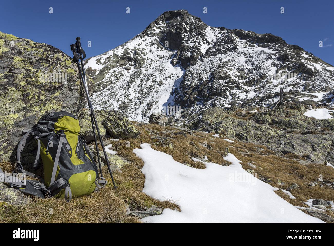 La randonnée dans le Tyrol du Sud, l'Moosstock dans l'HG Banque D'Images