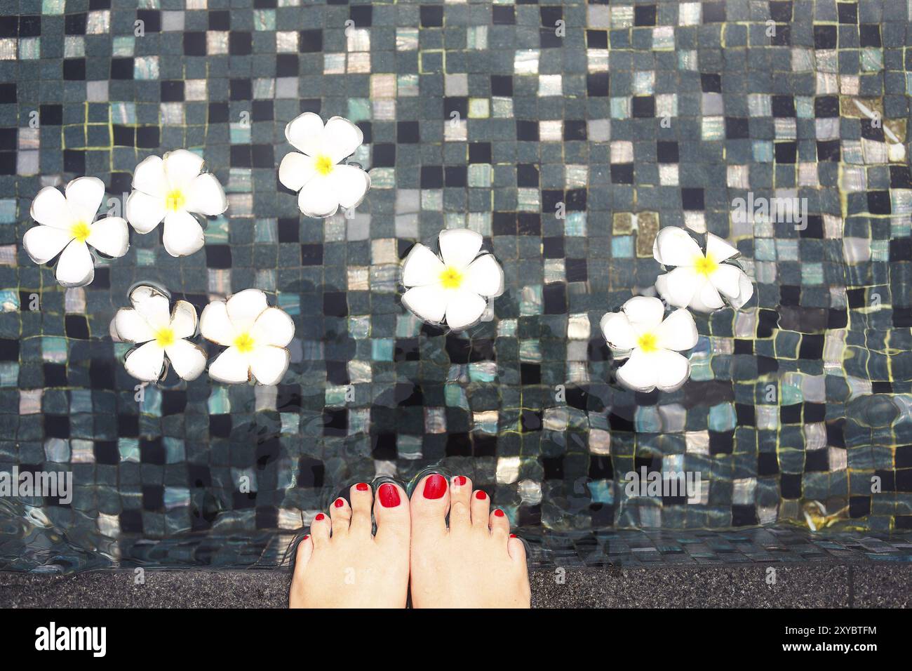 Beaux pieds féminins en piscine avec des fleurs de frangipanier blanc Banque D'Images