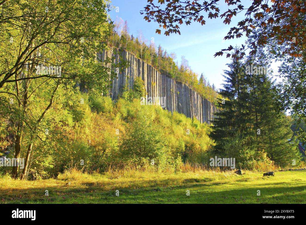 Tuyaux d'orgue Scheibenberg en basalte dans l'Erzgebirge, colonne de basalte Scheibenberg dans l'Erzgebirge, Saxe Banque D'Images